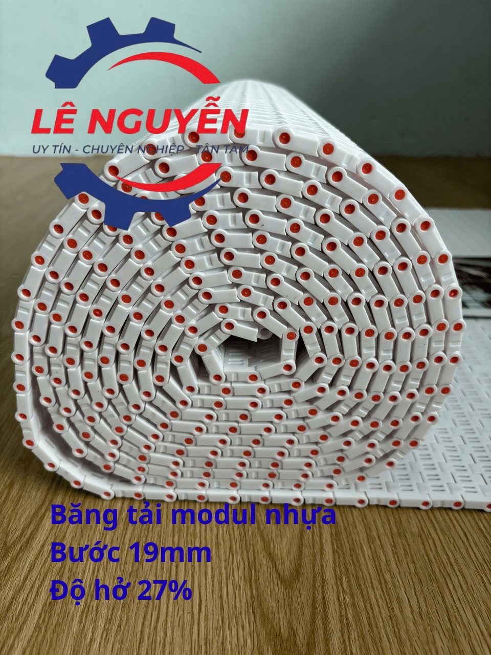 Băng tải nhựa HS-1000B - Ảnh 9
