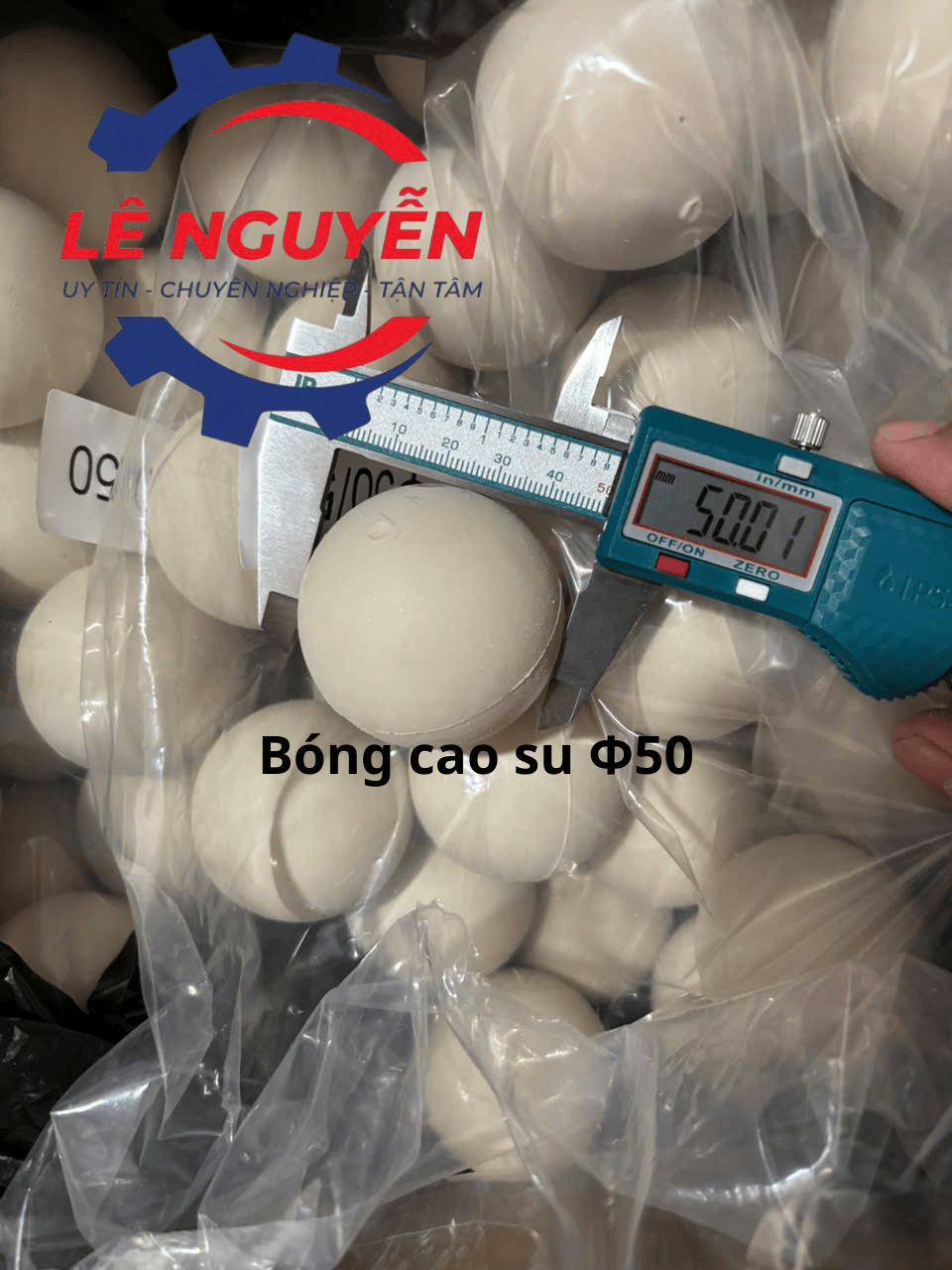 Bóng vệ sinh lưới sàng - Ảnh 2