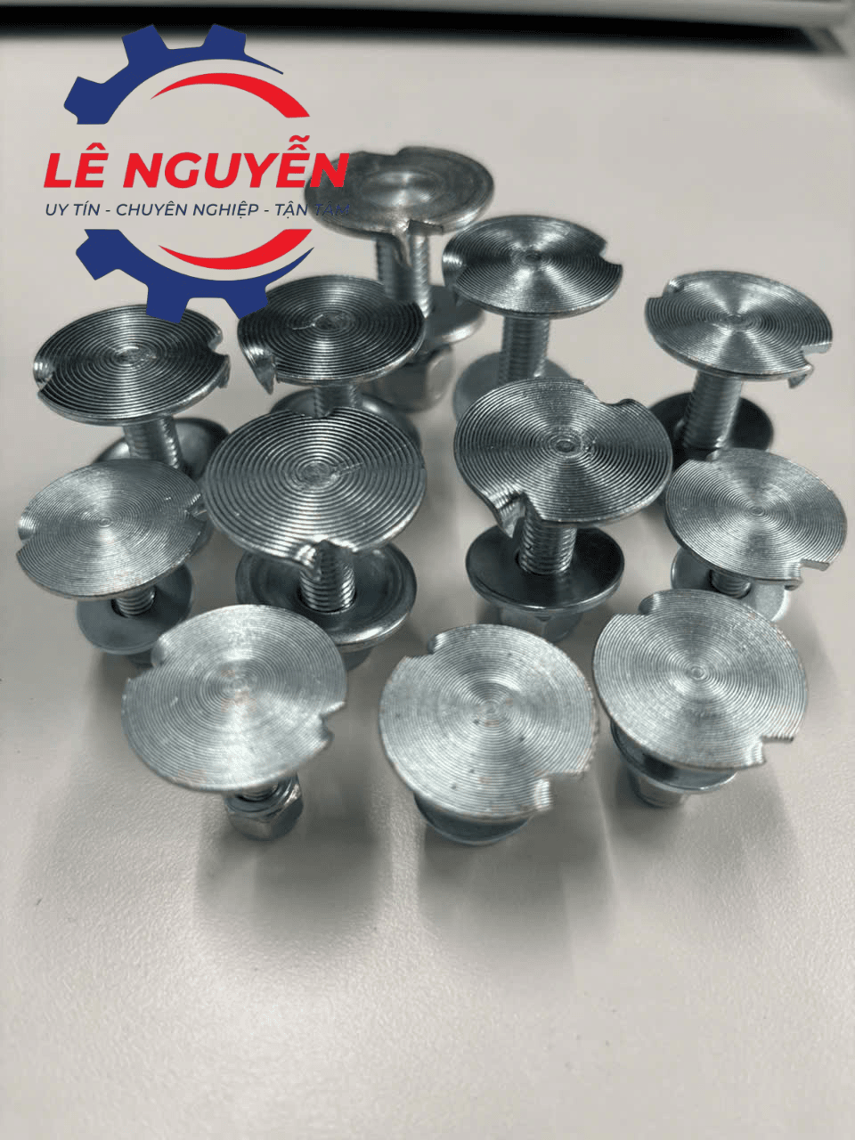Bulong gàu tải - Ảnh 6