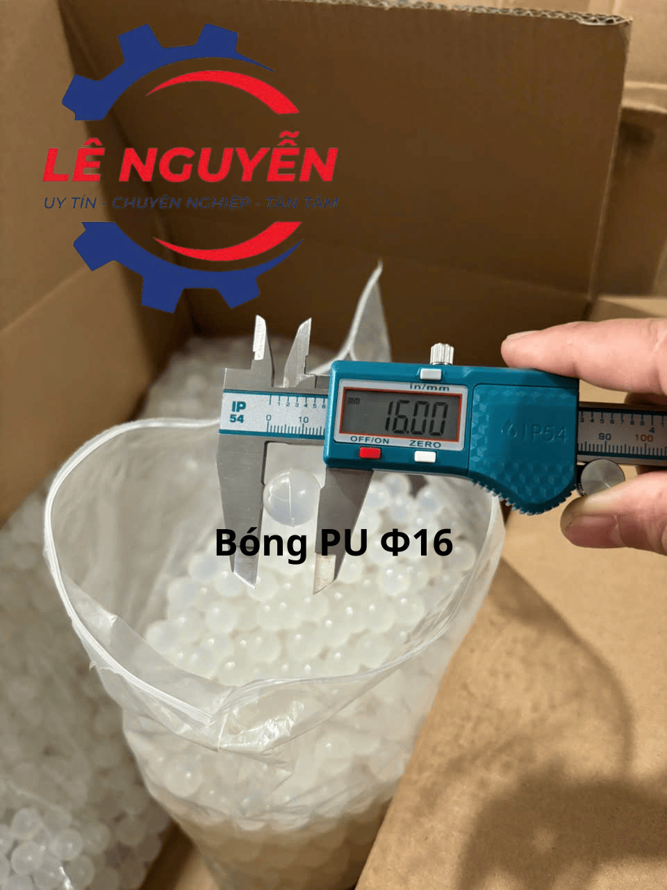 Bóng vệ sinh lưới sàng - Ảnh 11