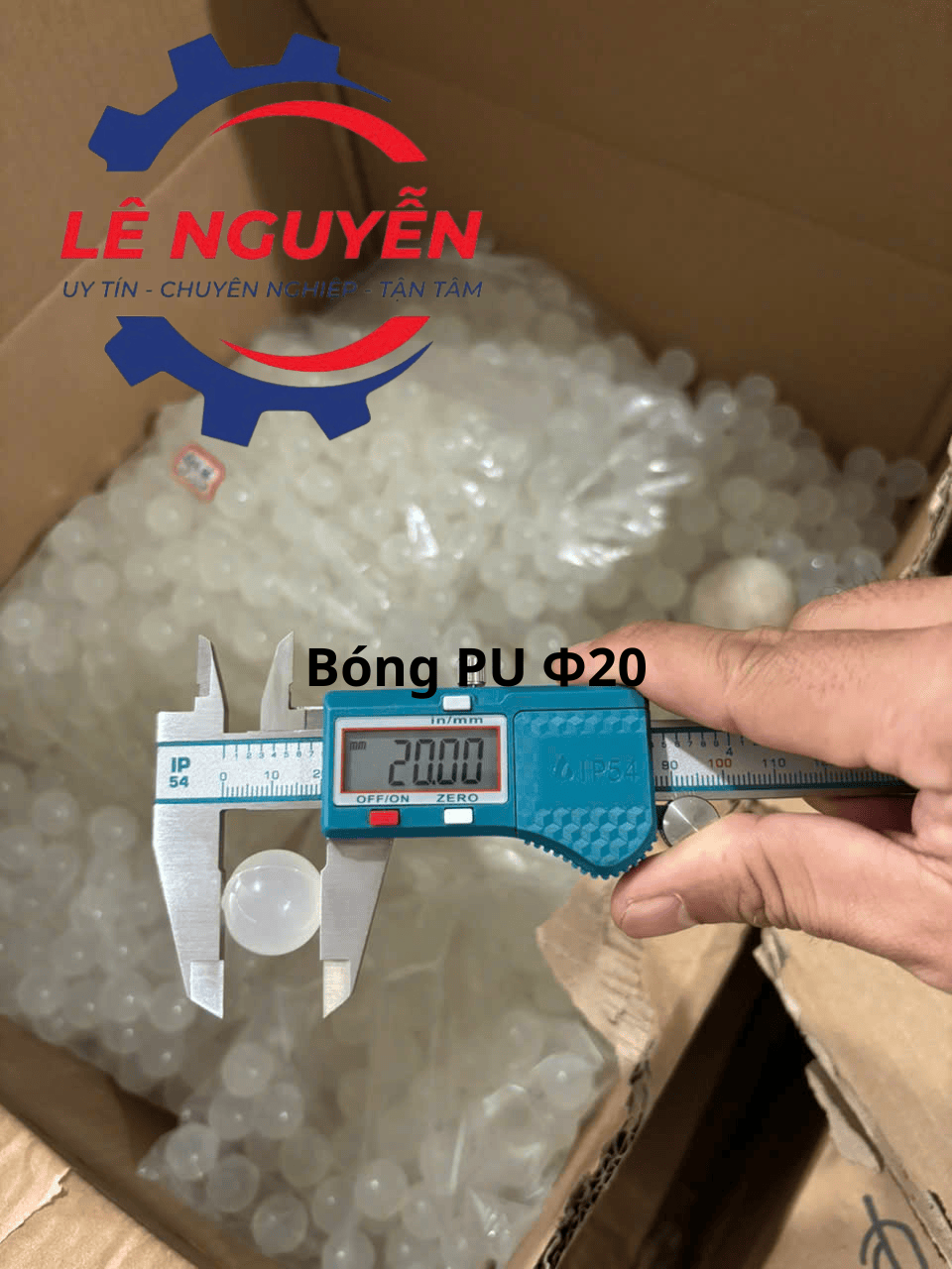 Bóng vệ sinh lưới sàng - Ảnh 12