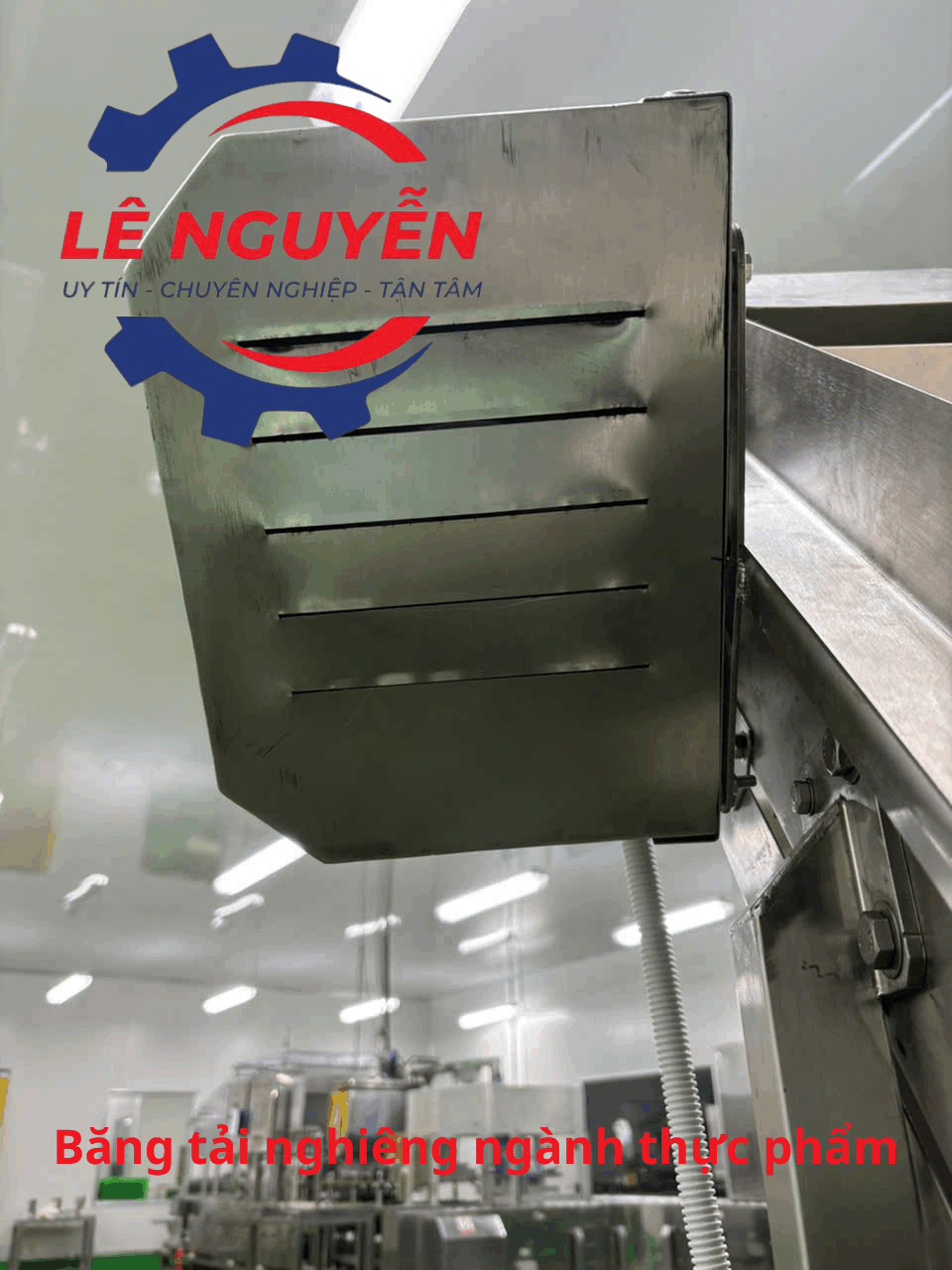Băng tải nghiêng khung inox 304 cho ngành thực phẩm - Ảnh 9
