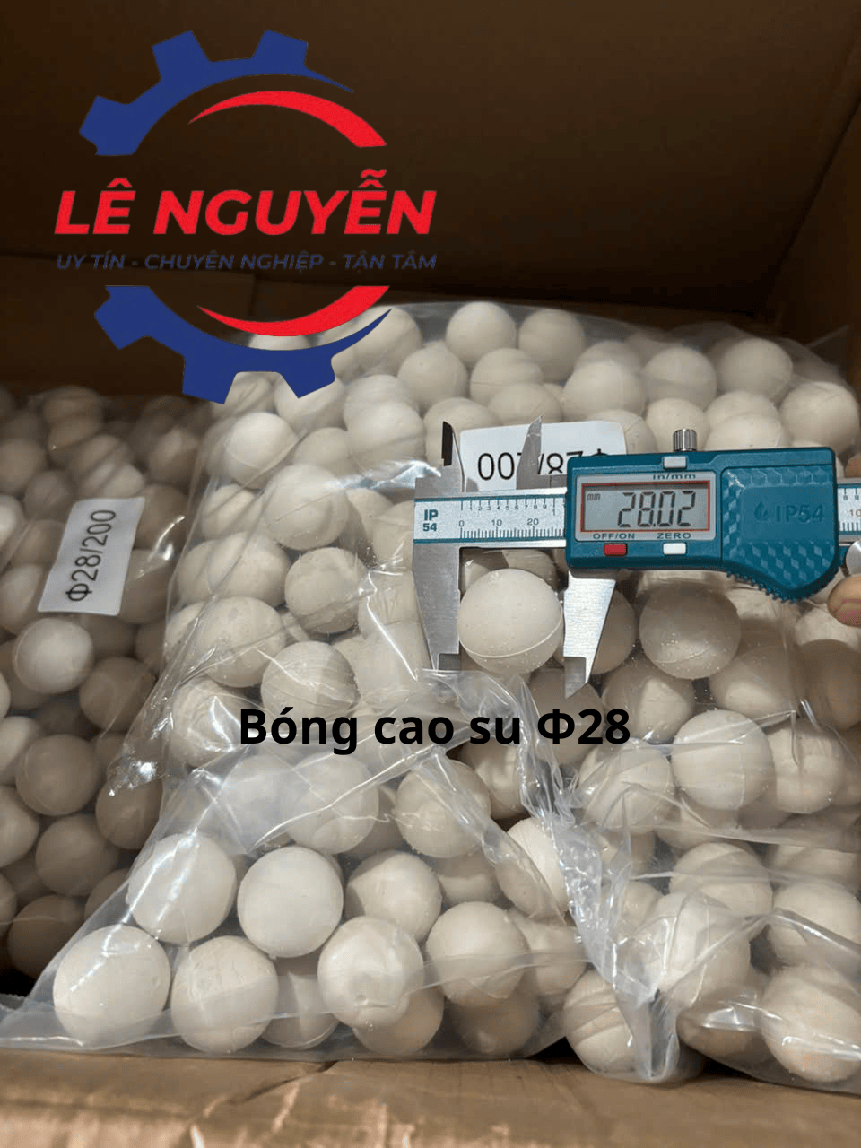 Bóng vệ sinh lưới sàng - Ảnh 5