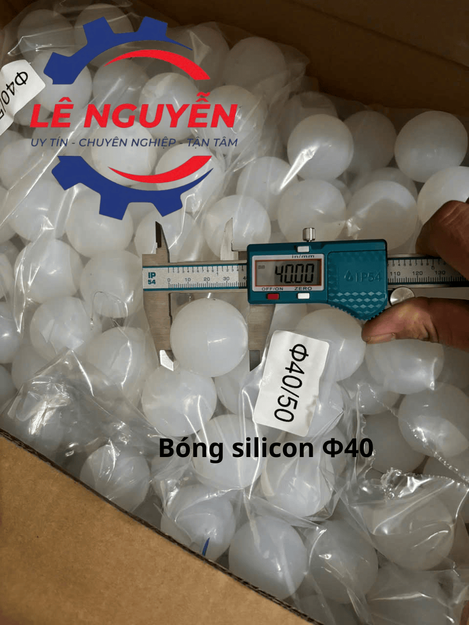 Bóng vệ sinh lưới sàng - Ảnh 8