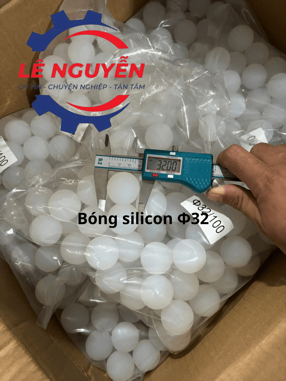 Bóng vệ sinh lưới sàng - Ảnh 9