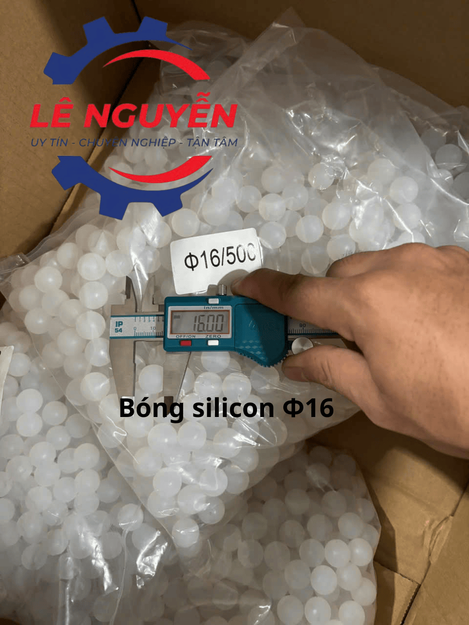 Bóng vệ sinh lưới sàng - Ảnh 10
