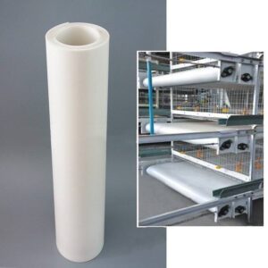 Băng tải trứng, vật tư ngành chăn nuôi