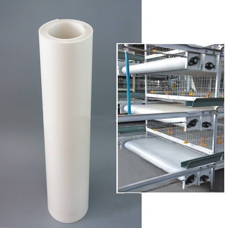 Băng tải dọn phân chuồng trại